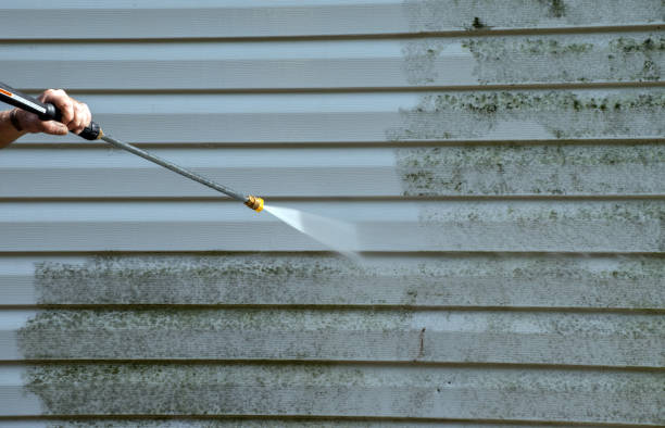 Best Roof Power Washing Services  in Macungie, PA