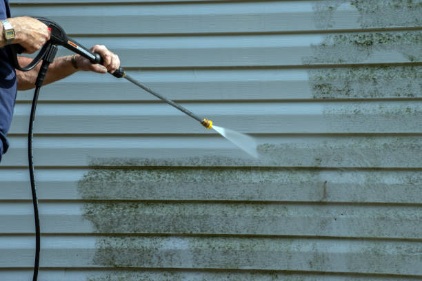 Best Deck Cleaning Services  in Macungie, PA